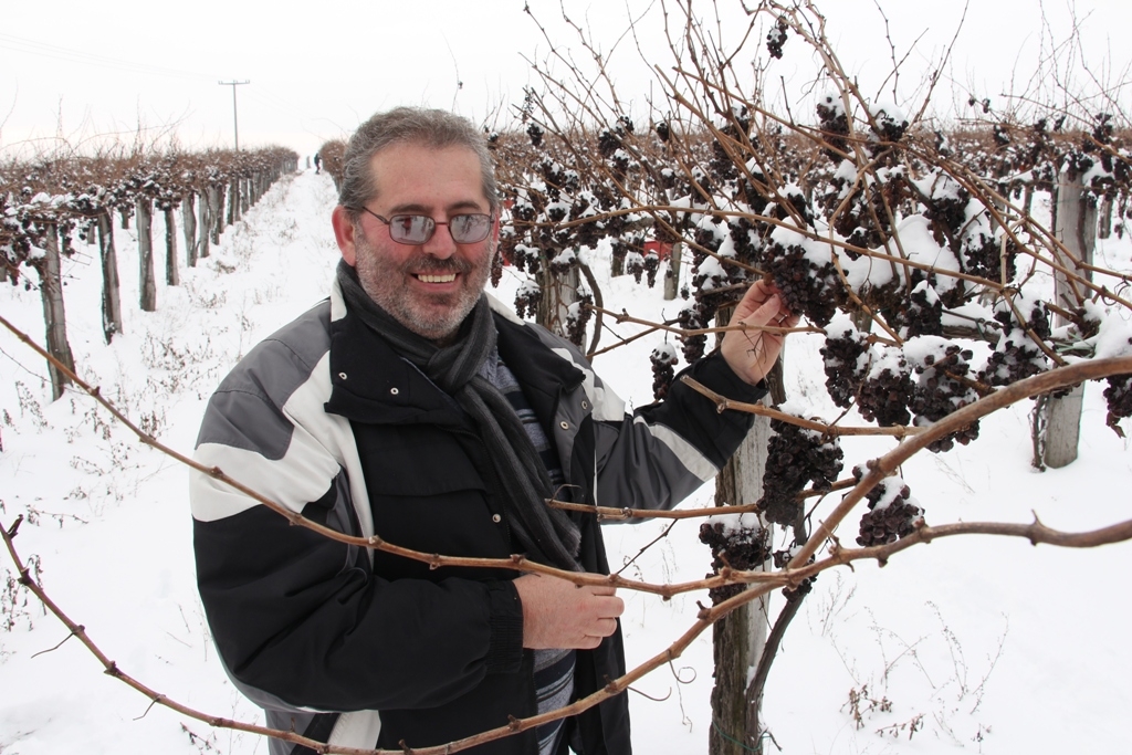 Šampion ovogodišnjeg Vinokapa „Graševina“ ledena berba 2015. Vinarije Perak
