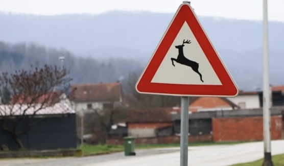 Tijekom proteklog vikenda zabilježena četiri naleta na divljač