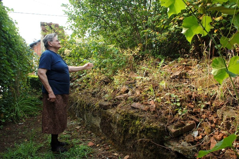 U dvorišta dolaze zmije, štakori i gušteri