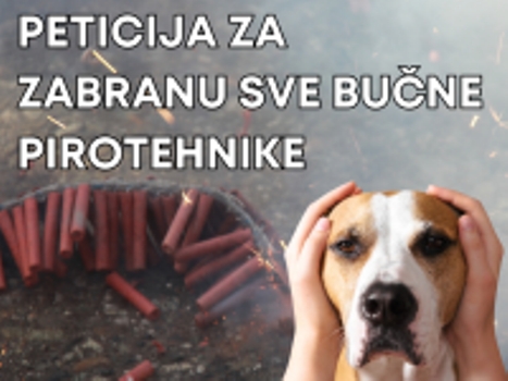Ulazimo u prosinac, stižu detonacije, strah, ozljede i smrt  - Hrvatska mora hitno zabraniti dane bučne pirotehnike!