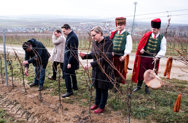 Vinarija Kutjevo blagdan sv. Vinka i tradicionalno Vincelovo obilježila na vinogradarskom položaju Vinkomir