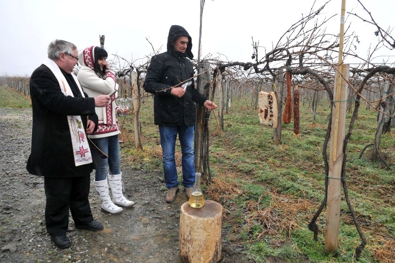 Vincelovo kod Jakobovića u Vetovu