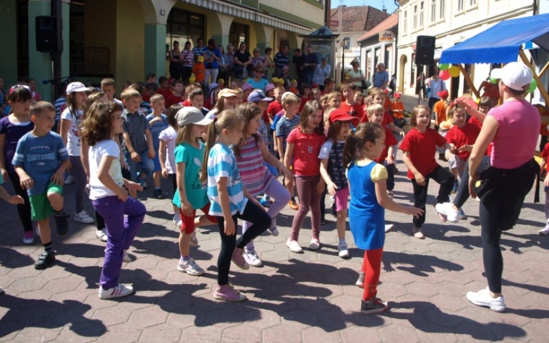Volim svoj grad Požegu