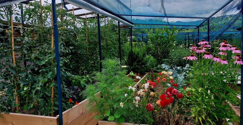 Zaštita i jačanje biljaka u ukrasnom vrtu i povrtnjaku s Bio Plantellom