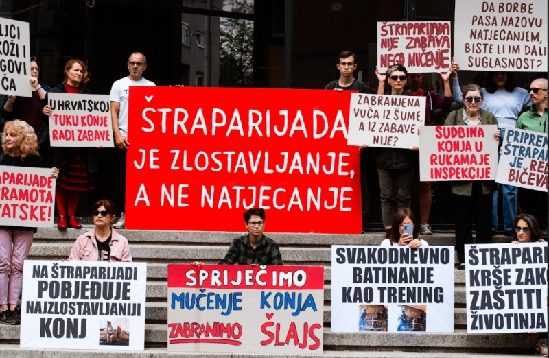 Zlostavljaču konja odgođen zatvor jer bi to utjecalo na dobrobit konja?!?