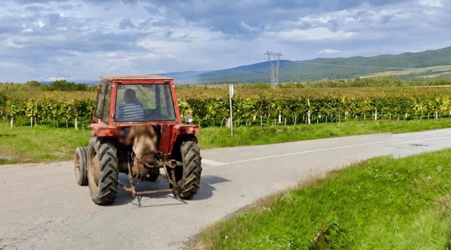 Upravljao traktorom s 2,67 promila alkohola