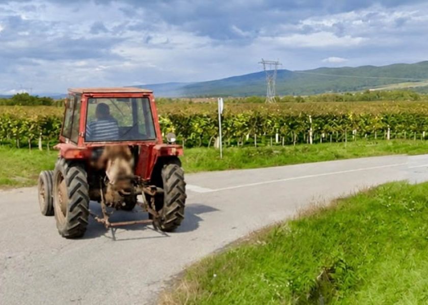 Vozio traktor bez registarskih oznaka, s 2,14 promila i poništenom vozačkom