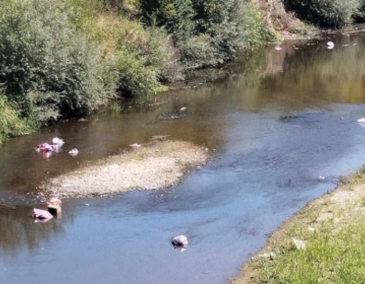 Smanjeni vodostaj Orljave otkrio odvratno ponašanje pojedinaca: Iz korita izvirile vreće pune smeća