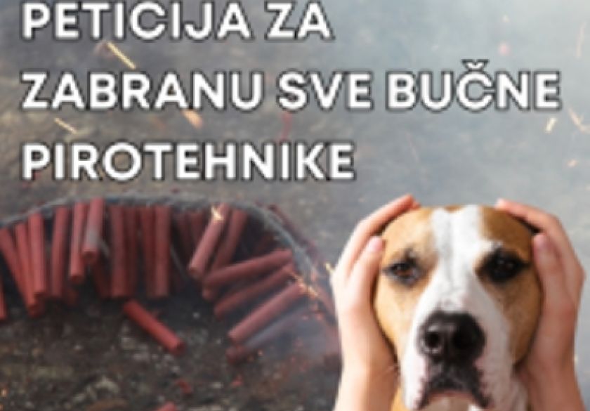 Ulazimo u prosinac, stižu detonacije, strah, ozljede i smrt  - Hrvatska mora hitno zabraniti dane bučne pirotehnike!