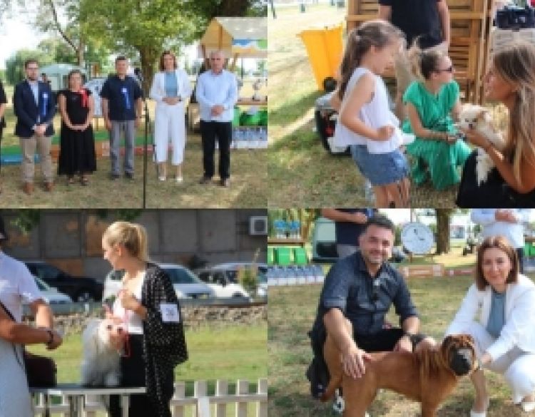 U Požegi otvorena Specijalna izložba pasa CAC-HR, natječe se 59 pasa u 32 kategorije