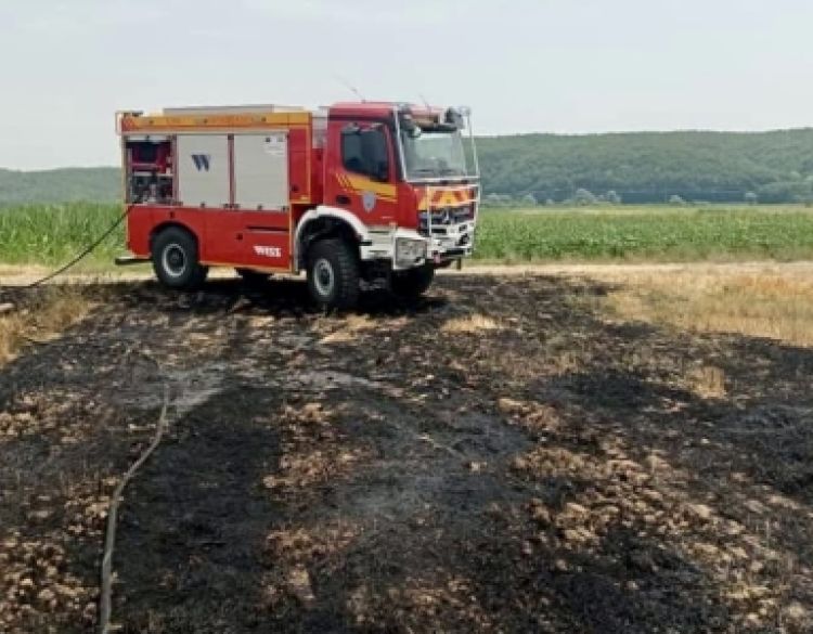 Požar suhe trave u Frkljevcima zaprijetio objektima, vatrogasci brzo intervenirali