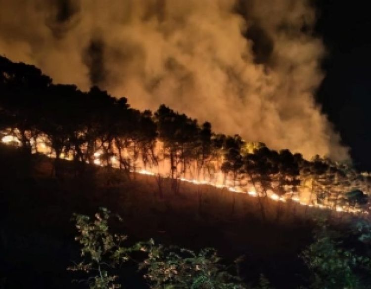 Veći broj požara i veće opožarene površine u odnosu na isto razdoblje prošle godine