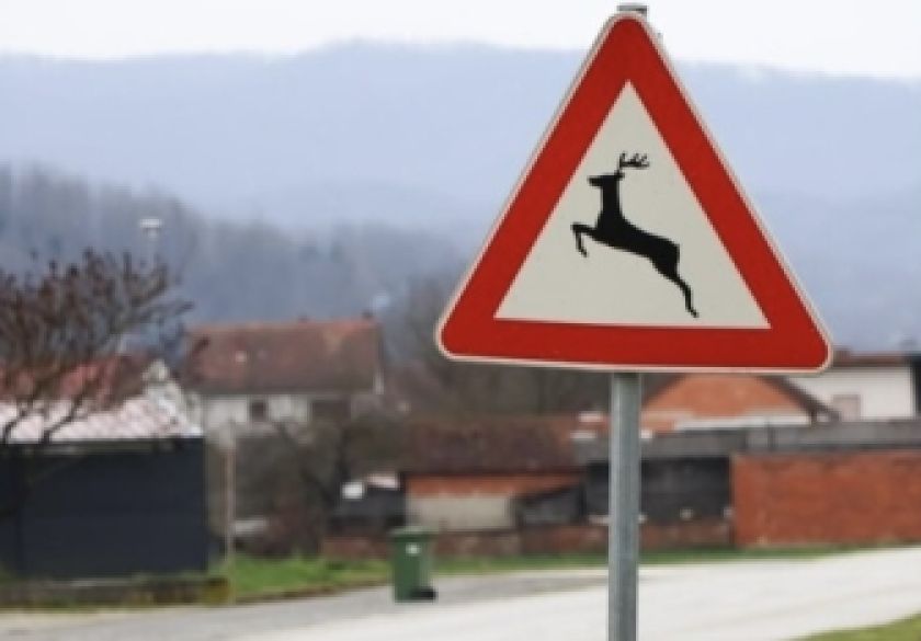 Tijekom proteklog vikenda zabilježena četiri naleta na divljač