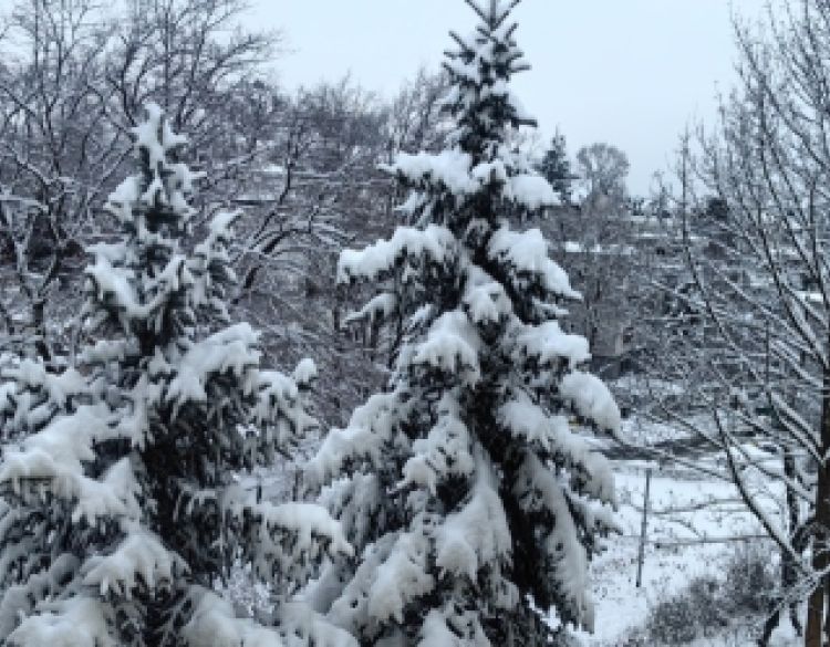 PROMETNA PATROLA - Ne krećite na put ako nemate zimske gume, vozite sporije, prilagođeno, uz povećan razmak i izbjegavajte pretjecanja