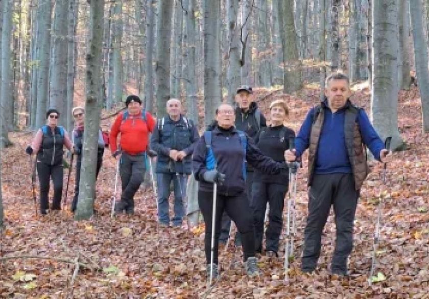 Planinari požeškog 