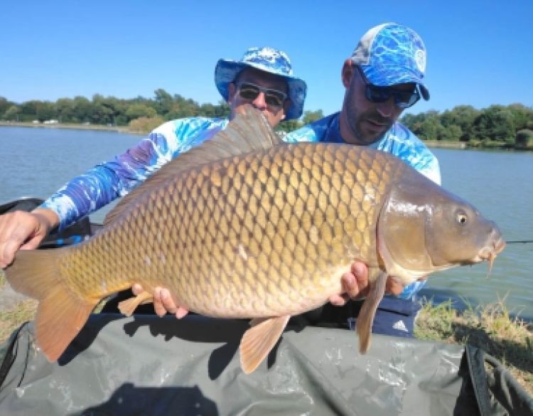 Na 2. Method Feeder kupu 