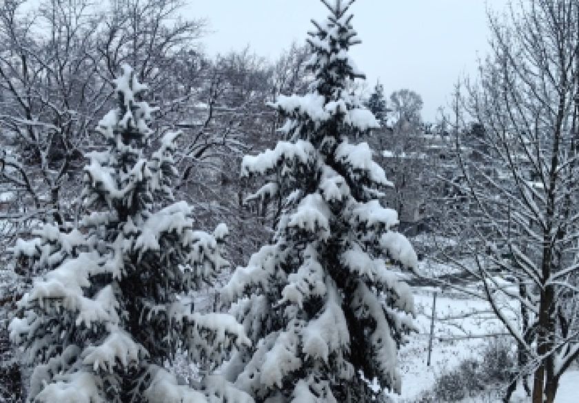 PROMETNA PATROLA - Ne krećite na put ako nemate zimske gume, vozite sporije, prilagođeno, uz povećan razmak i izbjegavajte pretjecanja