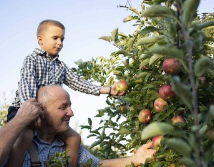 Organskom gnojidbom do boljeg uroda – sad je pravi trenutak