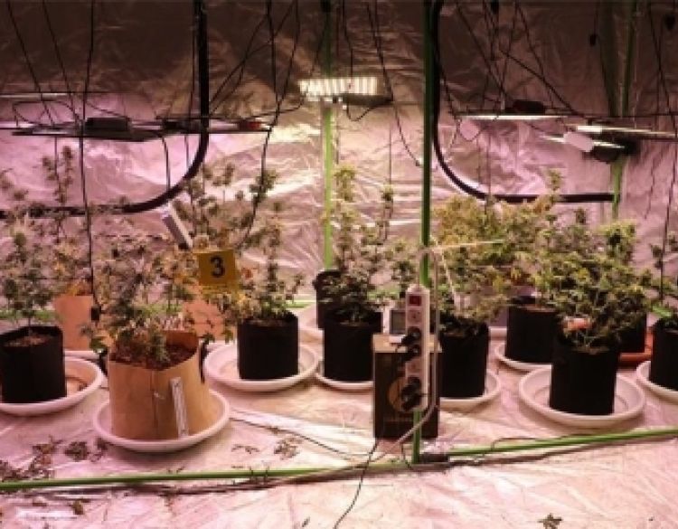 Pretragom kuća pronađen još jedan laboratorij u Velikoj kod 42-godišnjaka i 46-godišnjaka - zaplijenjena droga MDMA, cannabis marihuana i oprema