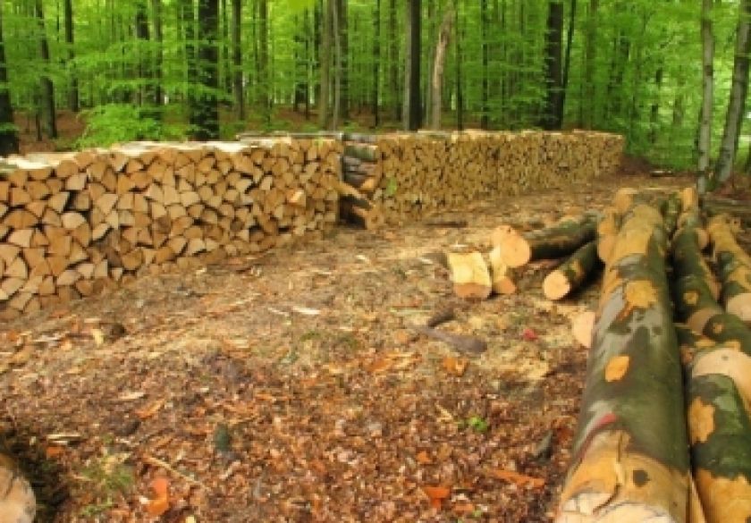 52-godišnjak putem oglasnika dogovorio nabavku drva, ali smatra da je prevaren u manjoj količini i kvaliteti drva