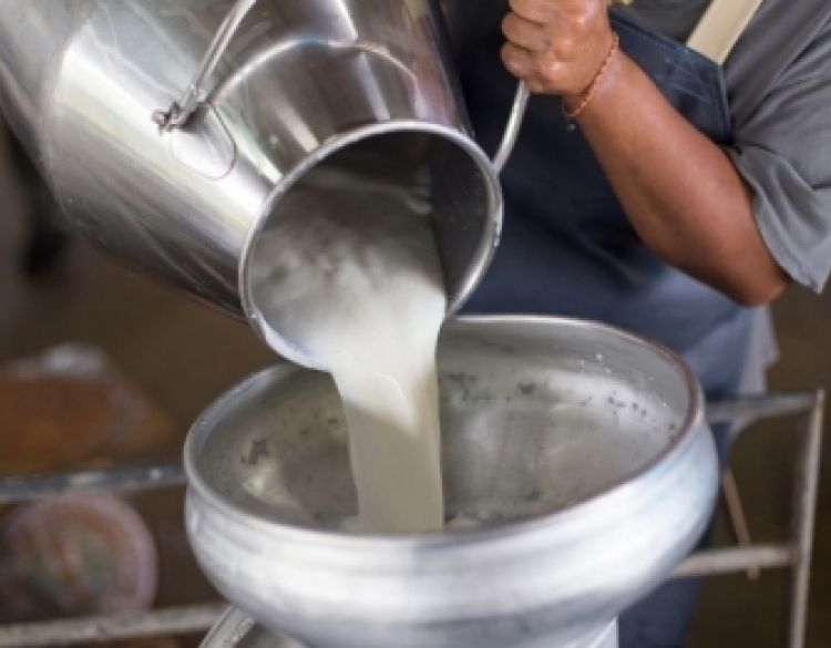 Usvojen Program potpore za modernizaciju mini sirana i nabavke opreme za proizvodnju sira i drugih mliječnih proizvoda