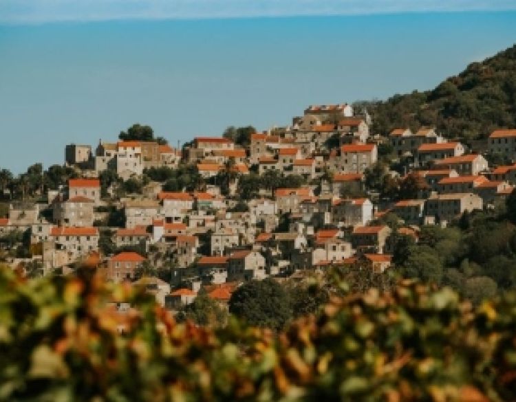 Danas je Međunarodni dan Mediterana - a mi u Hrvatskoj imamo sreću da živimo na ovom dijelu svijeta