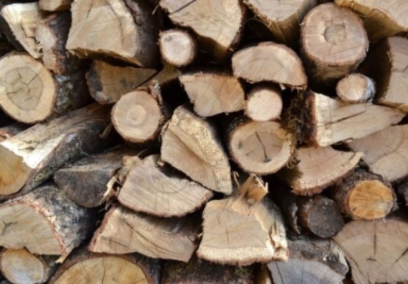 Povećanje popusta i nastavak mjere pomoći za snabdijevanje građana ogrjevnim drvom