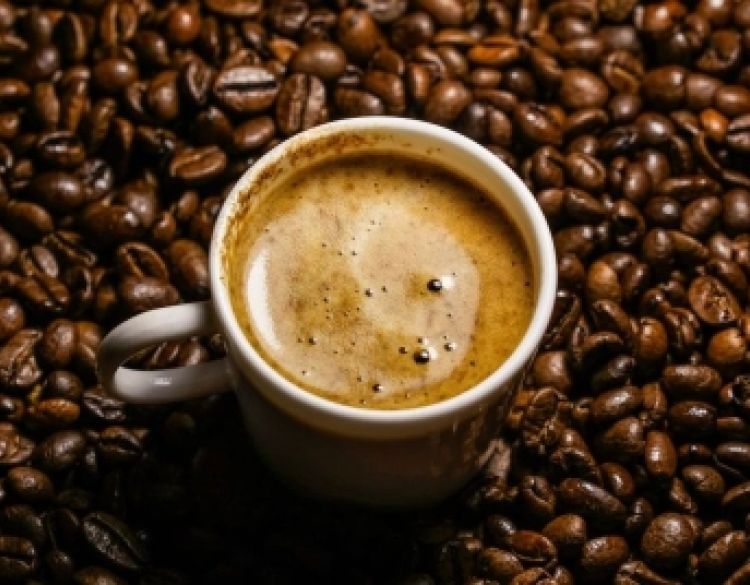 Kava – tekuće zlato budućnosti