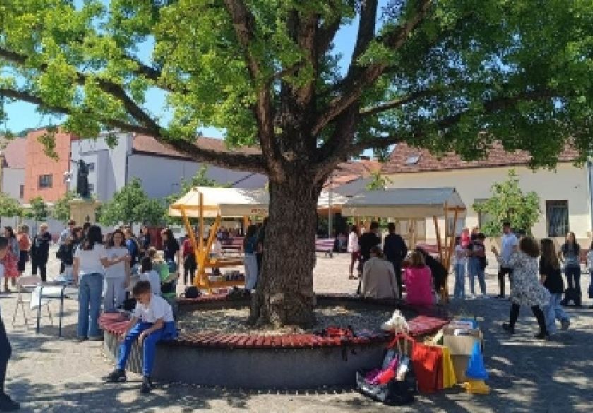 Proveden projekt