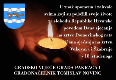 vukovar dan sjecanja 2025 18