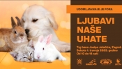 Poziv svima u Hrvatskoj da ne kupuju kuniće i ostale životinje pred Uskrs: životinje nisu igračke