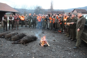 Četiri divlje svinje donirat će se Caritasu Požeške biskupije