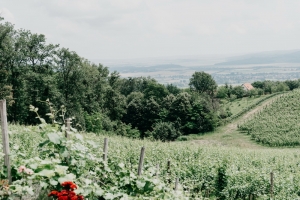 Preporuka za izlet: zelena priča iz srca Slavonije