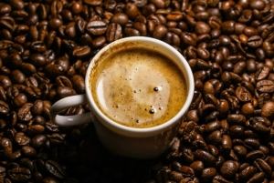 Kava – tekuće zlato budućnosti