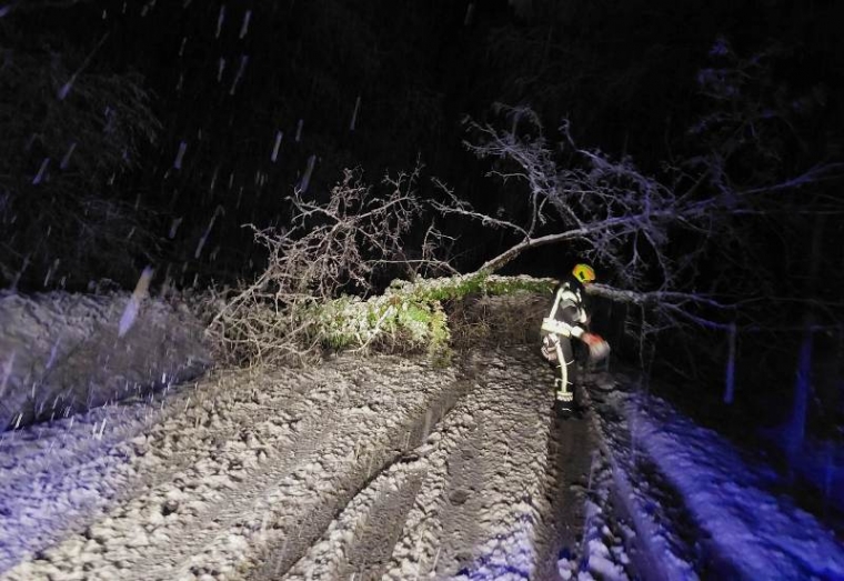 Snijeg koji je padao jučer i noćas izazvao pad dvadesetak stabala na prometnice i kuću - intervenirali vatrogasci