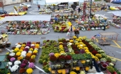 Započela prodaja cvijeća za blagdan Svih svetih na štandovima iza Gradske kuće