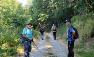 Počelo je ljeto pa su planinari požeškog Sokolovca hlad potražili na Papuku u visinama pod divljim kruškama