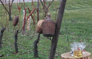 TZ grada Požege najavila proslavu &quot;Vincelovo na Požeškoj gori&quot; u vinogradima
