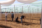 Posadili pilot projekt najmodernijeg voćnjaka s 5.000 sadnica 14 vrsta voćaka