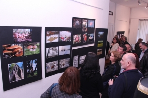 Izložba fotografija „Šuma okom šumara“
