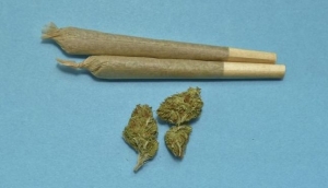 Policijski službenici kod 37-godišnjaka u Požegi u dopodnevnim satima pronašli cannabis marihuanu