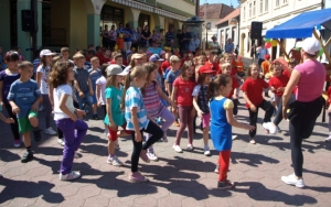 Volim svoj grad Požegu