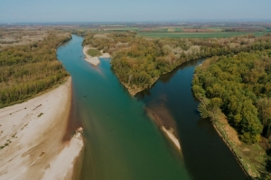 WWF osigurao gotovo pet milijuna eura za revitalizaciju četiri područja u Europskoj Amazoni