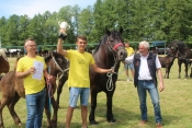 Ovogodišnji šampion je Vranica sa ždrebetom, vlasnika Smiljana Vidića iz Ljupina