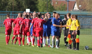 Slavonija i Slavija u finalu kupa