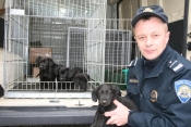 Dario Tajzler spasio pet promrzlih psića