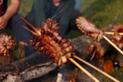 Na &quot;Slanvinu&quot; ekipe se natječu u pripremanju posebne delicije i najljepše „slaninske ruže“ te sljubljivanjem s vinima