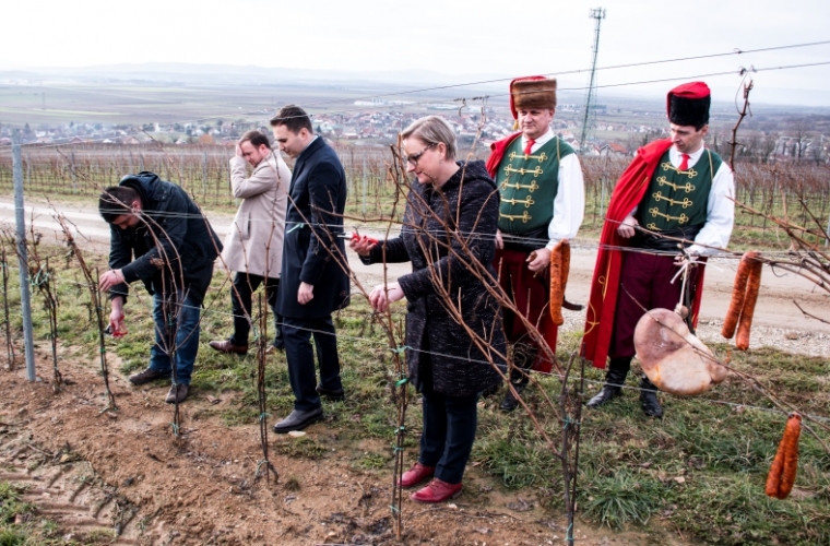 Vinarija Kutjevo blagdan sv. Vinka i tradicionalno Vincelovo obilježila na vinogradarskom položaju Vinkomir