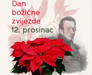 Danas 12. prosinca obilježavamo Dan božićne zvijezde