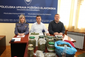 Domaći proizvođači uzgojili i pripremili za prodaju veće količine marihuane